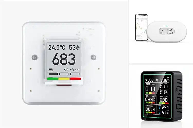 Detailed view of Best Battery Powered Air Quality Monitors