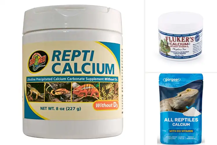 Detailed view of Best Calcium Supplements for Reptiles