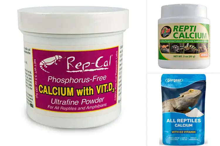 Detailed view of Best Calcium With D3 Supplements for Amphibians