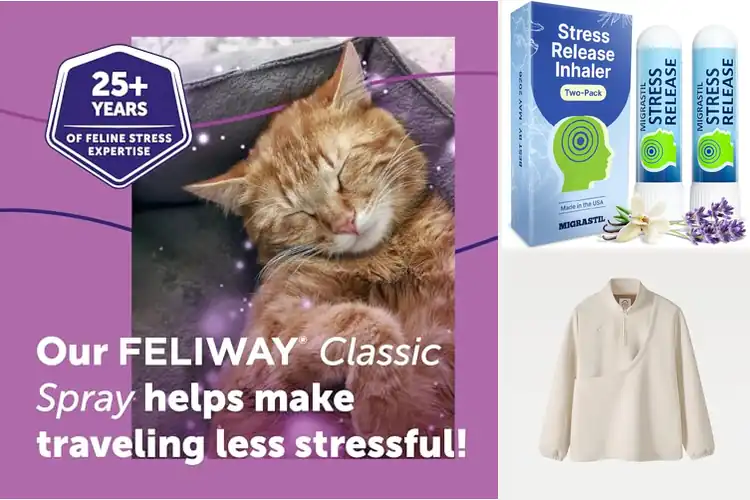 Detailed view of Best carriers for anxiety relief: Keep Your Pet Calm Today