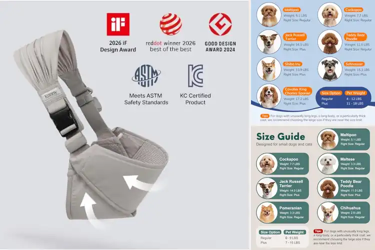 Detailed view of Best Carriers for Back Pain