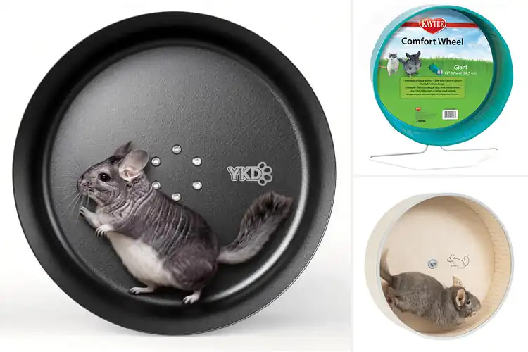 Detailed view of Best Chinchilla Exercise Wheels