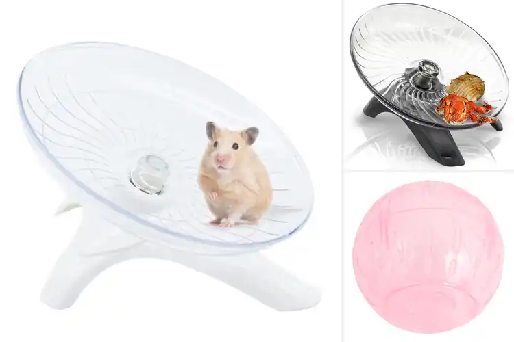 Detailed view of Best Chipmunk Exercise Wheels: Top 10 Safe Picks
