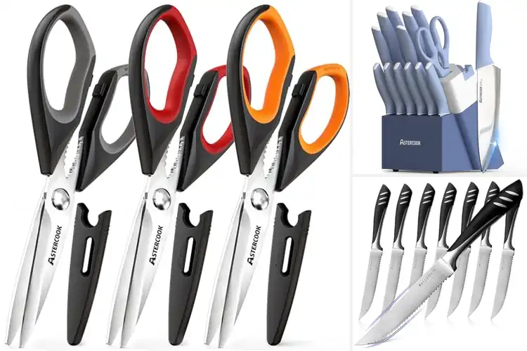 Detailed view of Best Dishwasher Safe Blades