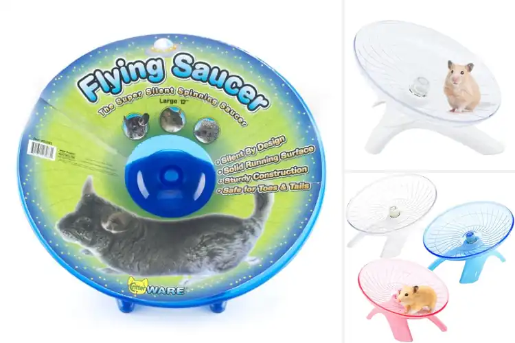 Detailed view of Best Flying Saucer Wheels for Small Pets: Safe, Silent & Fun