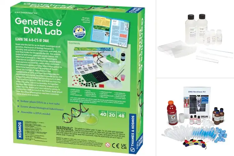 Detailed view of Best Genetics Education Kits