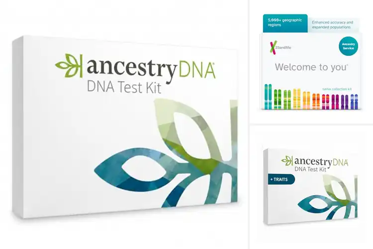 Detailed view of best genetics kits Uncover Ancestry & Find Relatives