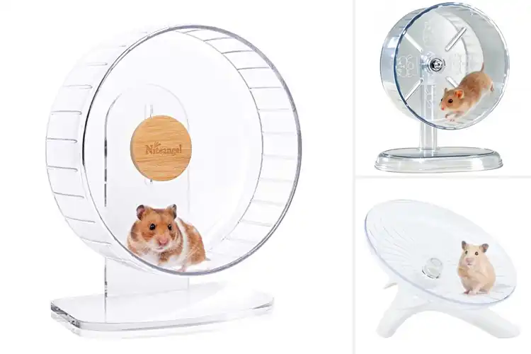 Detailed view of Best Gerbil Exercise Wheels: Keep Your Pet Active & Healthy