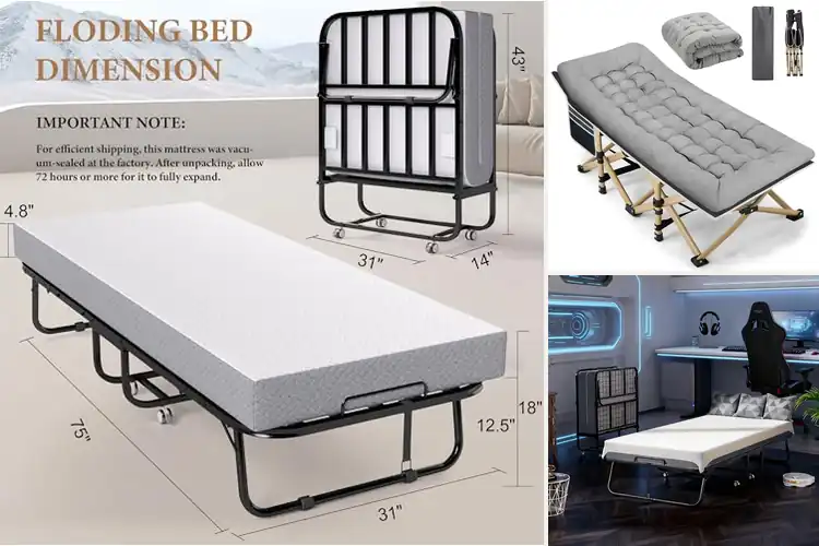 Detailed view of Best Guest Beds