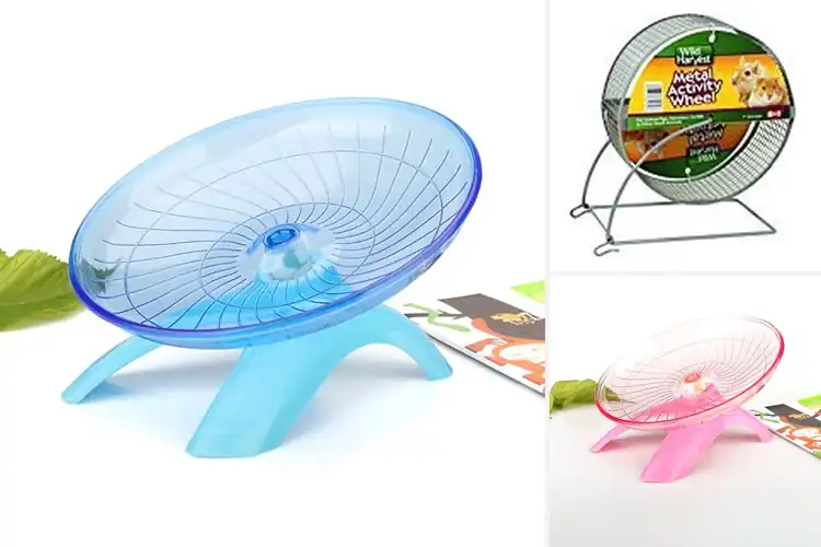Detailed view of Best Guinea Pig Exercise Wheels