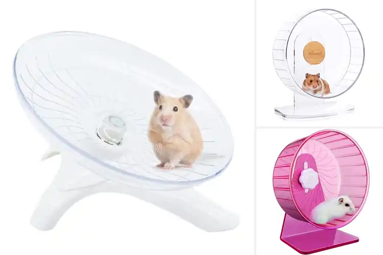 Detailed view of Best Hamster Exercise Wheels