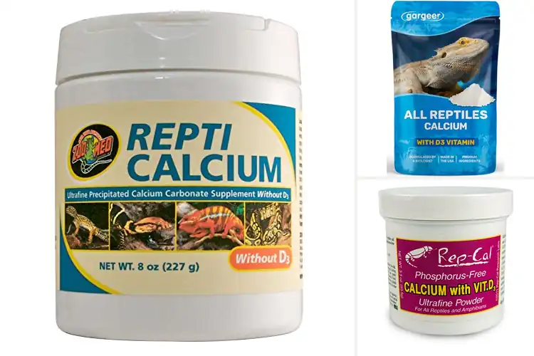 Detailed view of Best Indoor Reptile Calcium Supplements