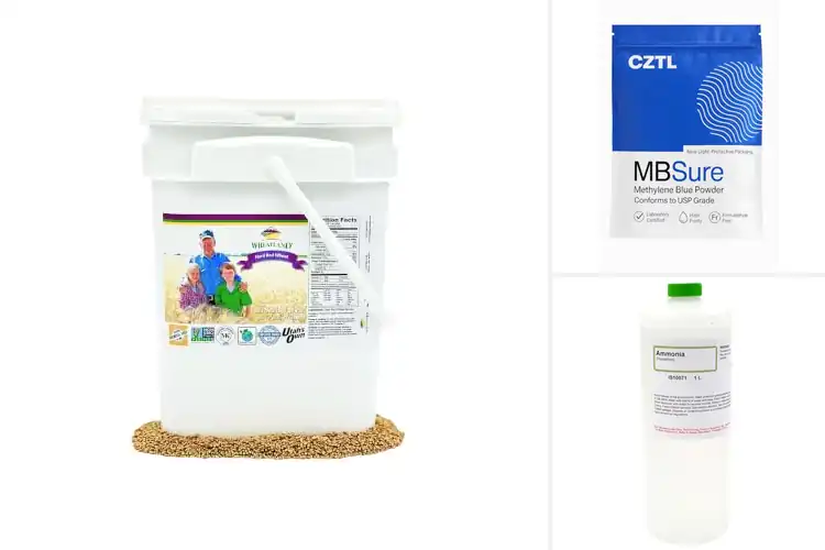 Detailed view of Best Long Shelf Life Chemicals: Top 10 for Lasting Use
