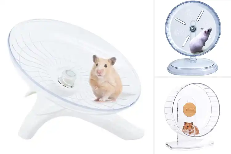 Detailed view of Best Mice Exercise Wheels: Top 10 for Happy Pets
