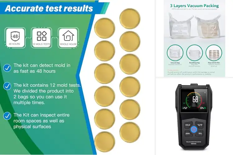 Detailed view of Best Mold Risk Detectors