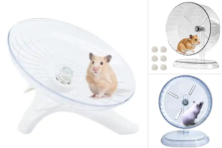 Detailed view of Best Mouse Exercise Wheels: Top 10 Picks for Happy Pets