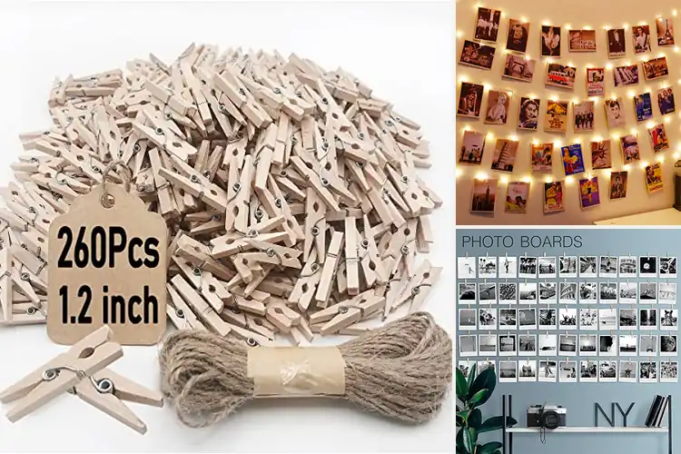Detailed view of Best Photo Display Clips