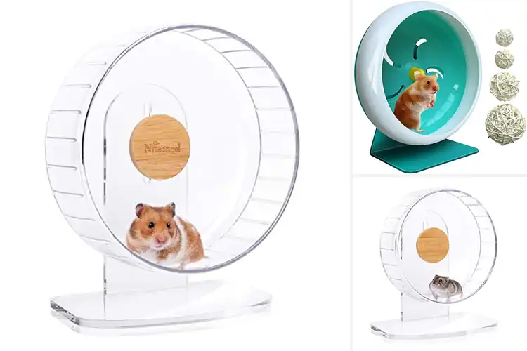 Detailed view of Best Quiet Hamster Wheels