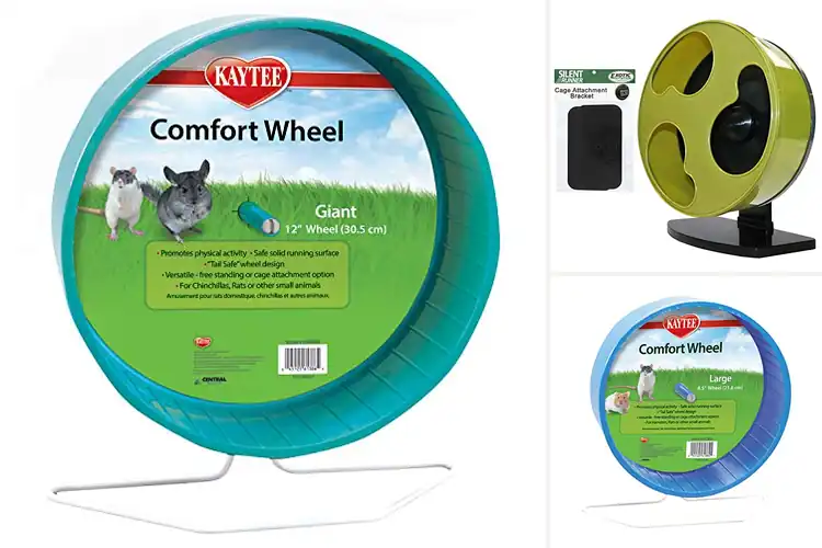 Detailed view of Best Rat Exercise Wheels