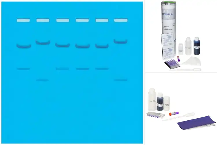 Detailed view of Best Restriction Enzyme Kits