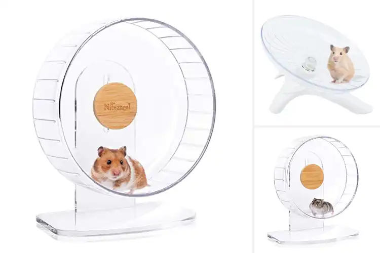 Detailed view of Best Silent Exercise Wheels
