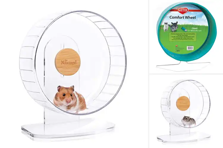Detailed view of Best Small Animal Exercise Wheels: Top 10 Quiet & Safe Picks