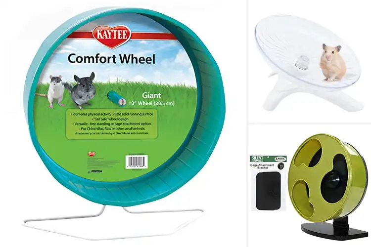Detailed view of Best Small Pet Exercise Wheels