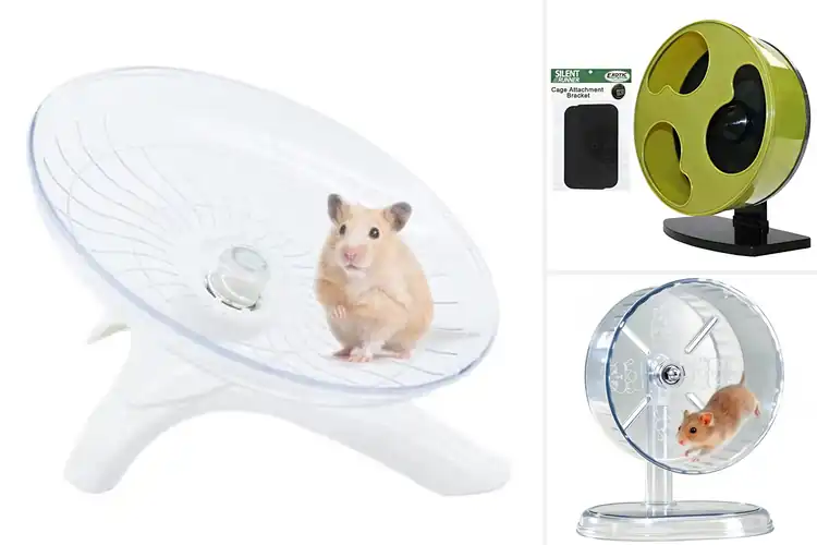 Detailed view of Best Small Pet Running Wheels