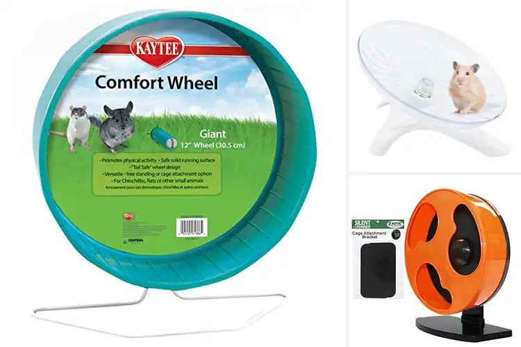 Detailed view of Best Small Pet Wheels