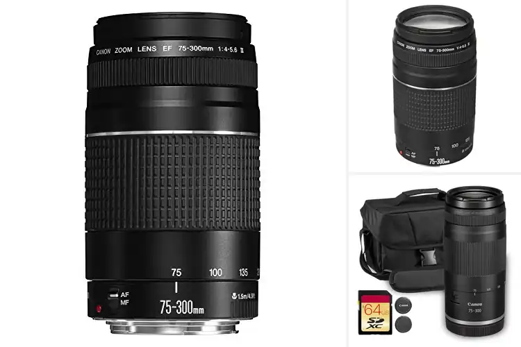 Detailed view of Best Sports Lenses