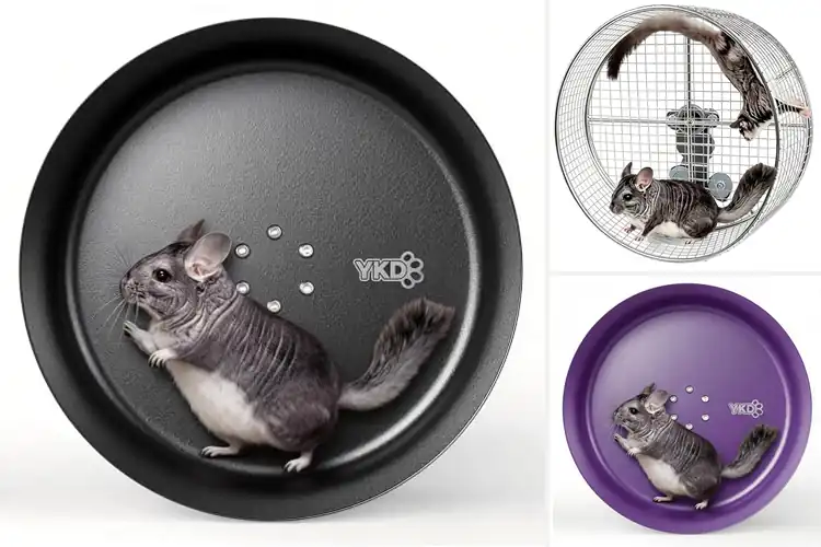 Detailed view of Best Squirrel Exercise Wheels Top 10 Silent & Safe Choices