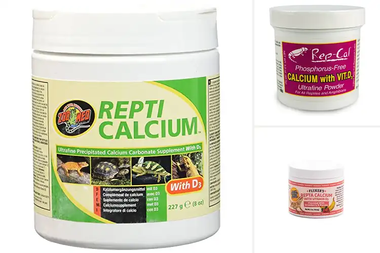 Detailed view of Best Vitamin D3 Calcium Powders for Reptiles